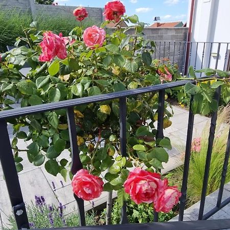 Penzion U Bustiku Sardice Buitenkant foto