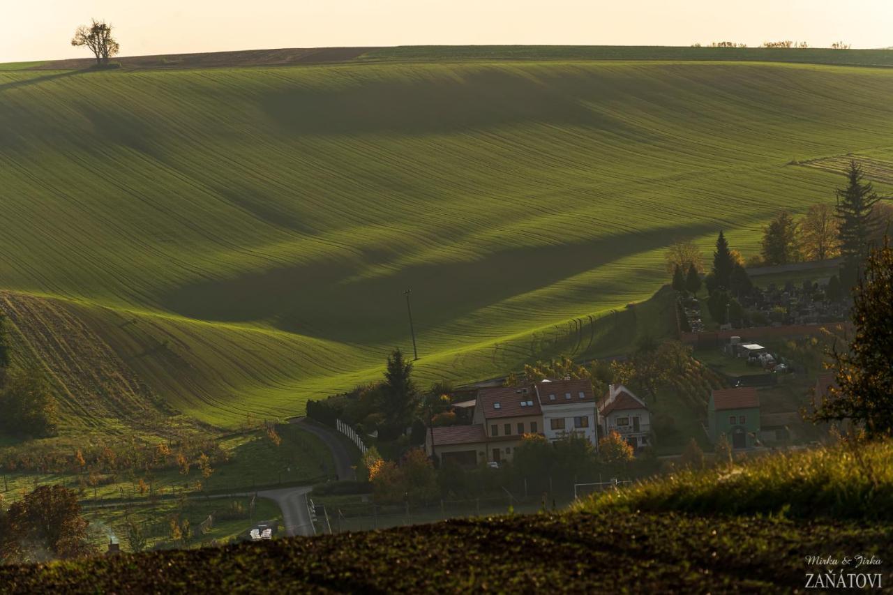 Penzion U Bustiku Sardice Buitenkant foto